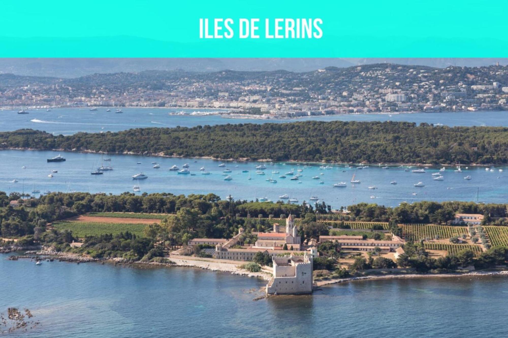 Les Sorbiers - Centre Ville - Spacieux & Climatisation Cannes Bagian luar foto